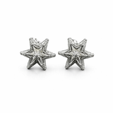 Stellar Edge Earring