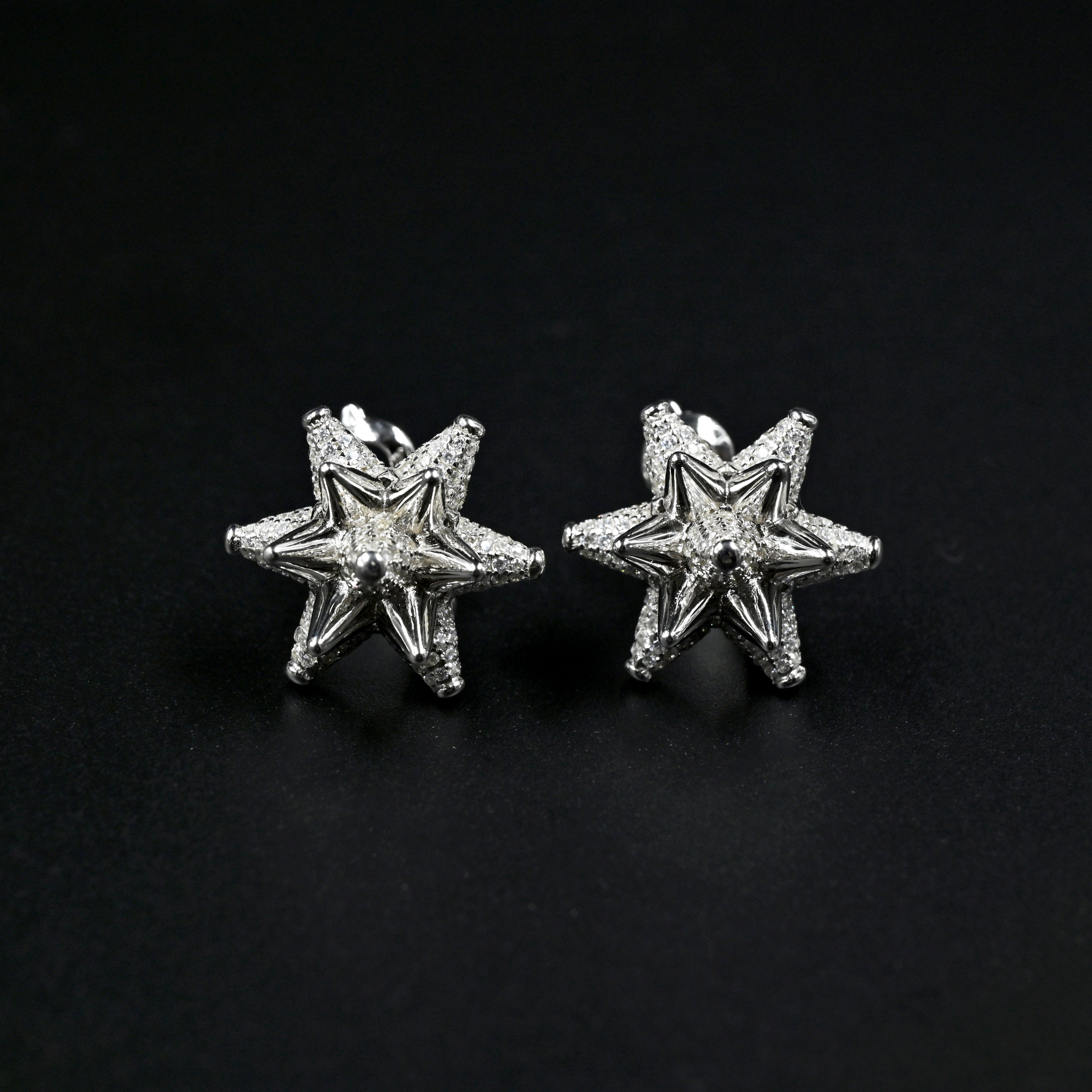 Stellar Edge Earring