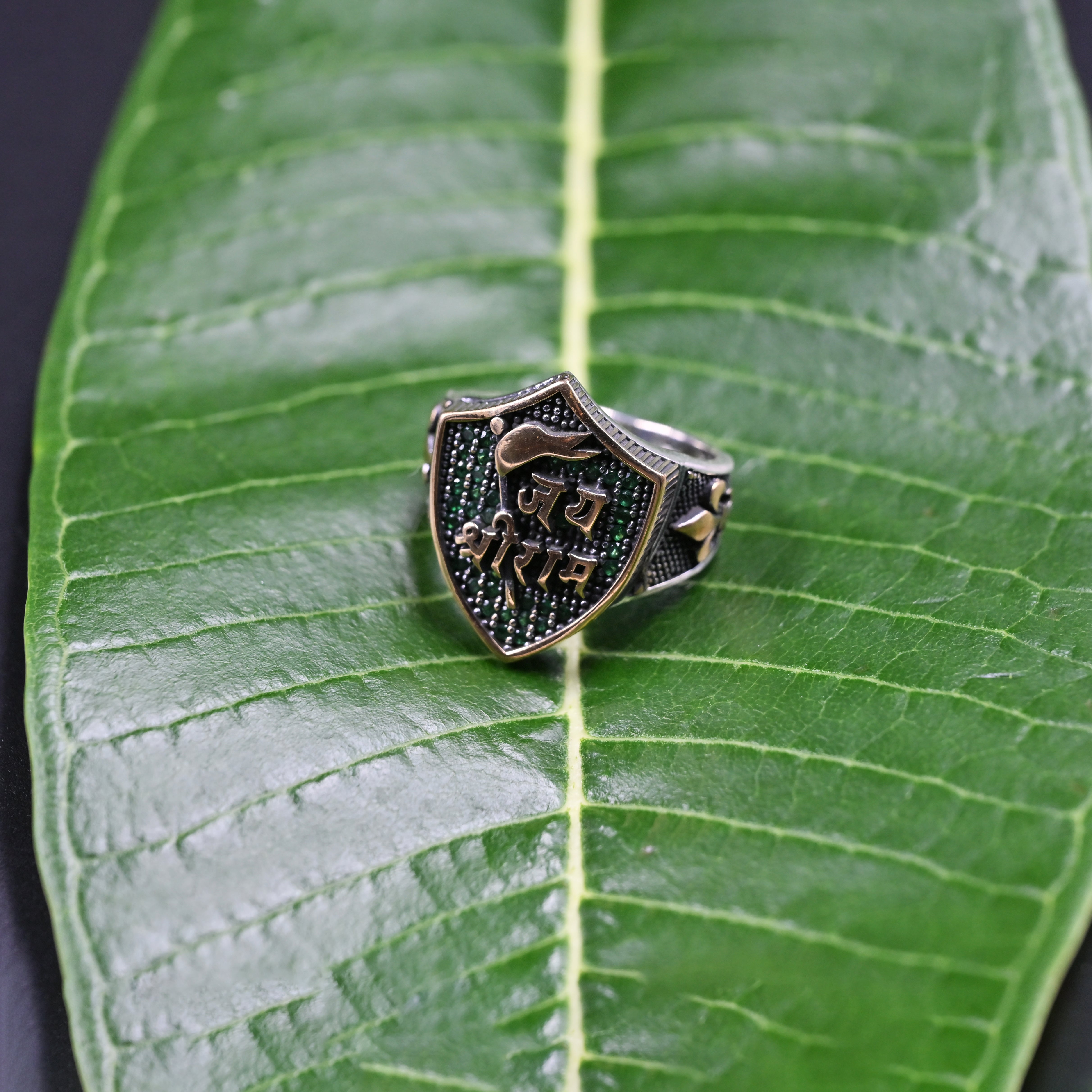 Ram Raksha Ring