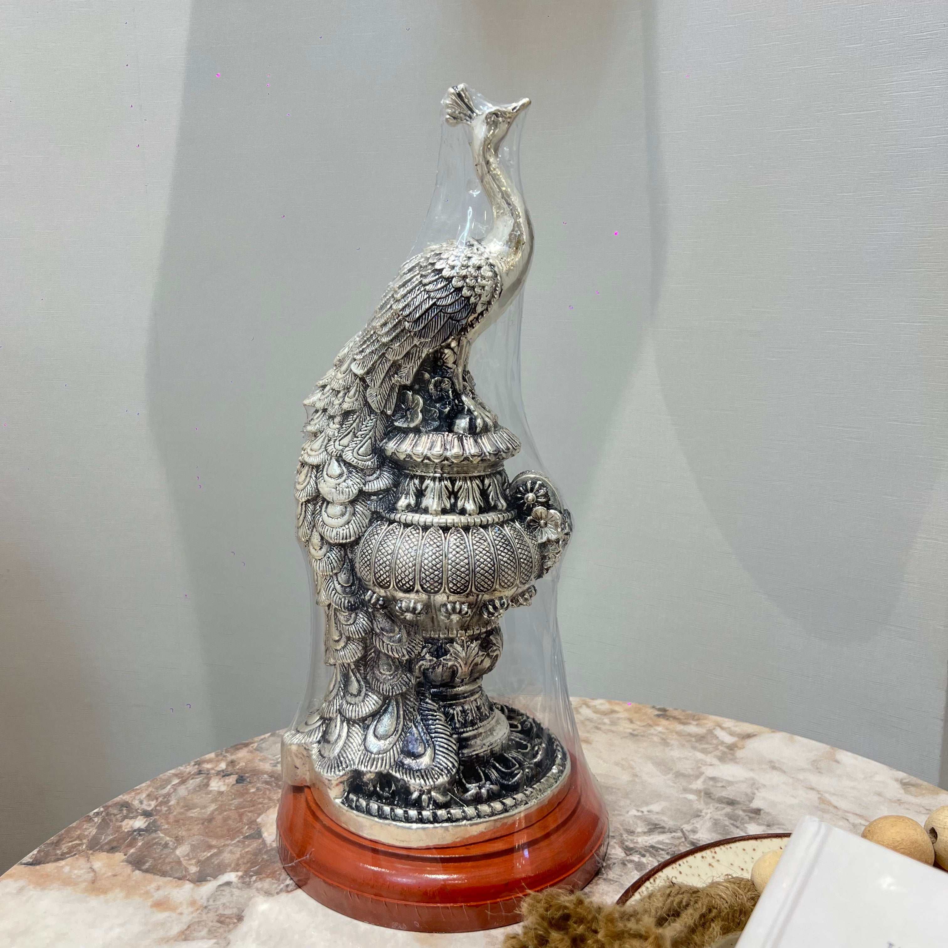 Janya Rajmayur Idol