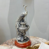 Janya Rajmayur Idol