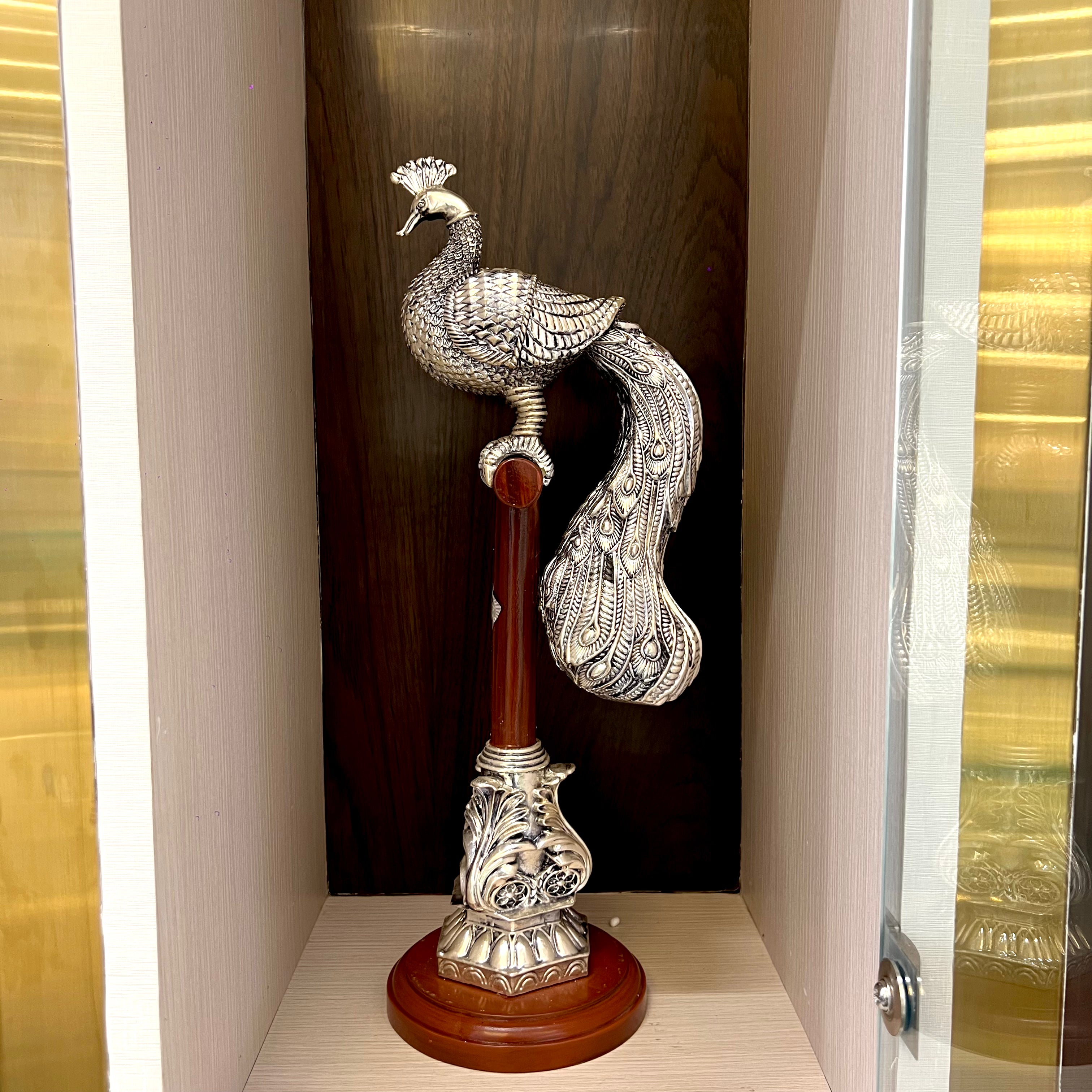 Janya Mayur Glory Idol