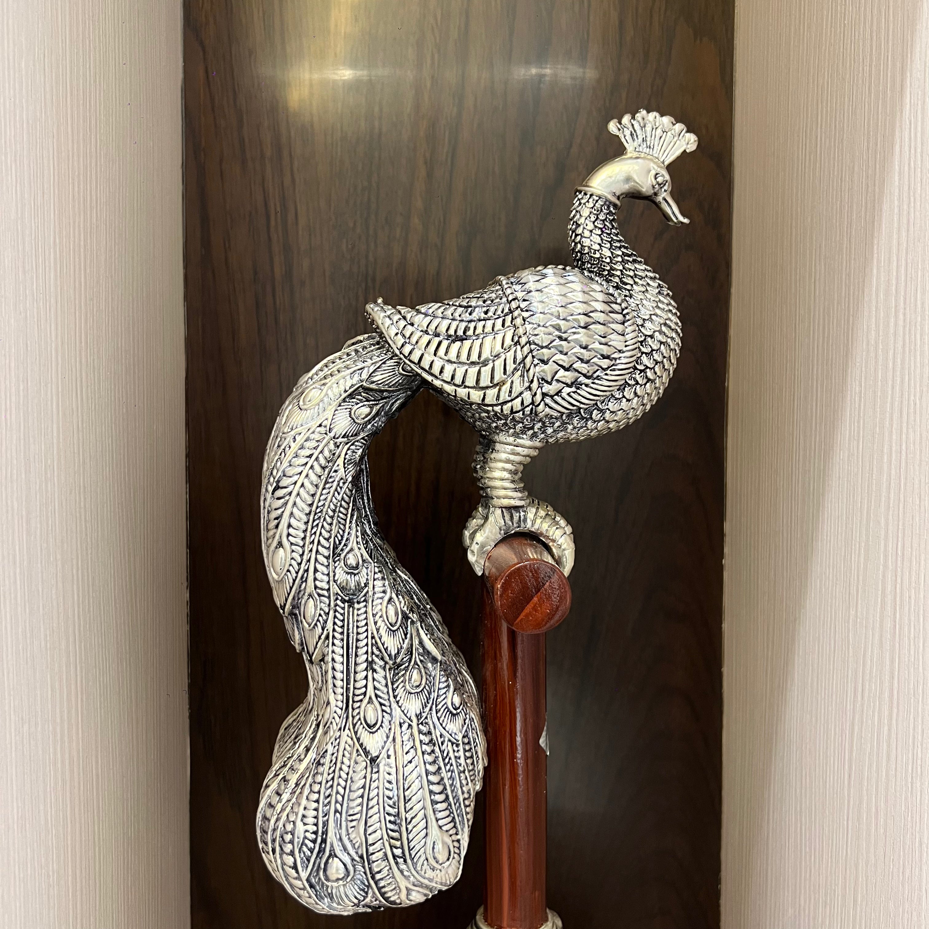 Janya Mayur Glory Idol