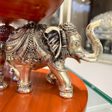 Triveni Gaj Bowl
