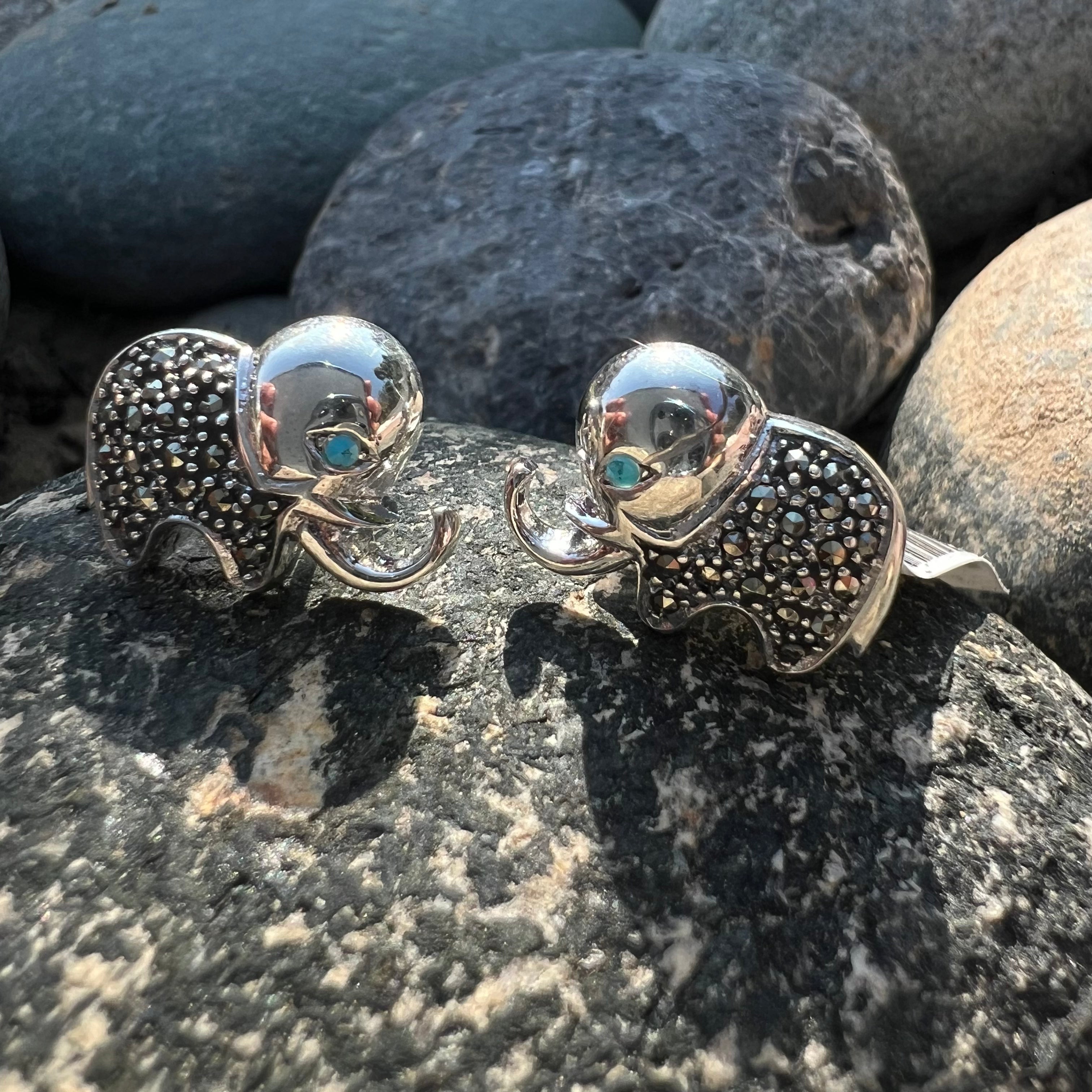 Jumbo Studs Earrings