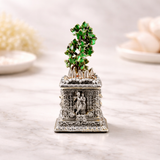 Silver tulsi plant