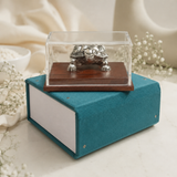 Pure Silver Tortoise in a Box