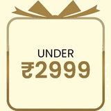Silver jewelry under 2999